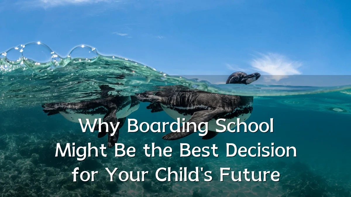 Why Boarding School Might Be the Best Decision for Your Child's Future