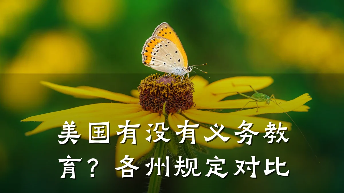 美国有没有义务教育?各州规定对比